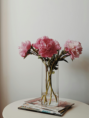 Decoración de vivienda vacacional
